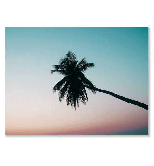 Ombre Palm Tree