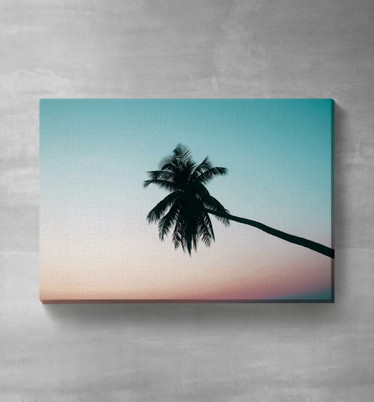 Palm Tree Sunset