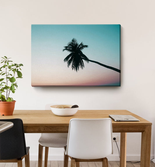 Ombre Palm Tree