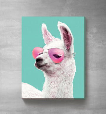 Pretty In Pink Llama