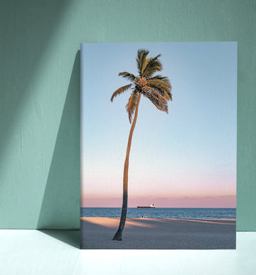 Summer Palm Tree