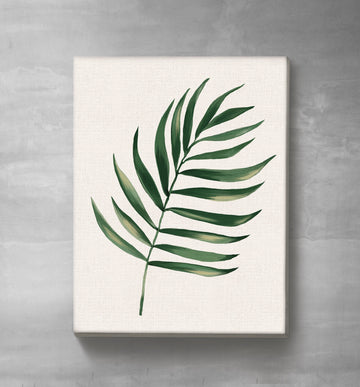 Palm Leaf