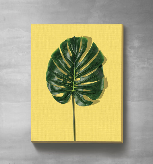 Tropical Green Leaf