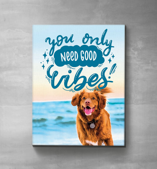 You Only Need Good Vibes